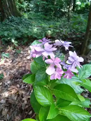 狭野神社(宮崎県)
