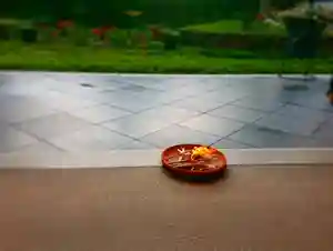 寿量山 速成寺(奈良県)(2021年08月07日(土) 09時07分10秒投稿)