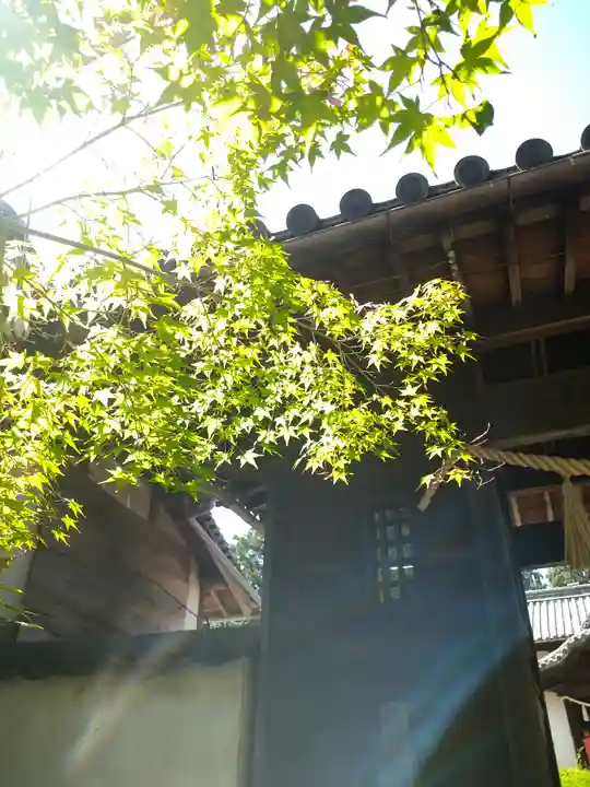 両児神社(岡山県)