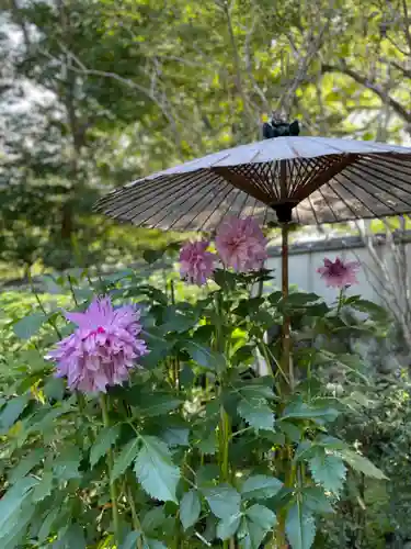 上野東照宮の自然