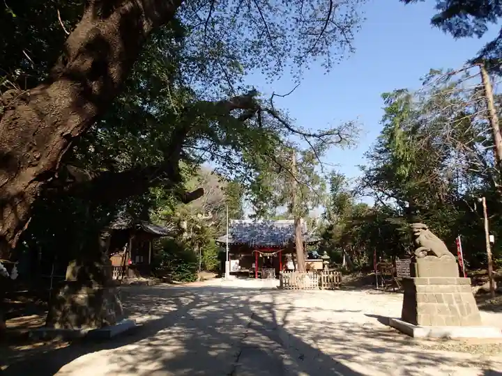 中山神社の本殿・本堂
