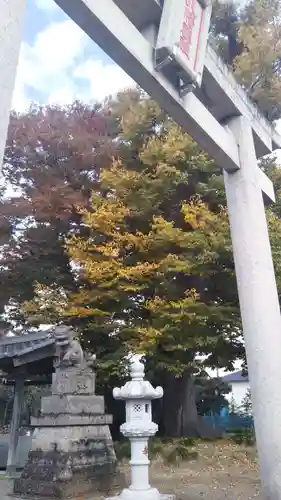 須影八幡神社の鳥居