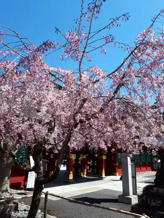 志波彦神社・鹽竈神社の自然