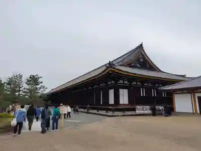 蓮華王院（三十三間堂）の{uncategorized: "未分類", other: "その他", undefined: "問題あり", building: "その他建物", grave: "お墓", sacred_gate: "鳥居", guardian: "狛犬", statue: "像", buddha: "仏像", history: "歴史", nature: "自然", garden: "庭園", animal: "動物", pagoda: "塔", temizu: "手水舎", mountain_gate: "山門・神門", sanctuary: "本殿・本堂", subordinate: "末社・摂社", art: "芸術", scenery: "景色", jizo: "地蔵", ema: "絵馬", goshuin: "御朱印", omikuji: "おみくじ", items: "授与品その他", amulet: "お守り", goshuincho: "御朱印帳", eats: "食事", festival: "お祭り", votive_dance: "神楽", shichigosan: "七五三参", wedding: "結婚式", experience: "体験その他", initially: "初詣", around: "周辺", anti_infection: "感染症対策"}