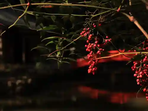 小國神社(静岡県)