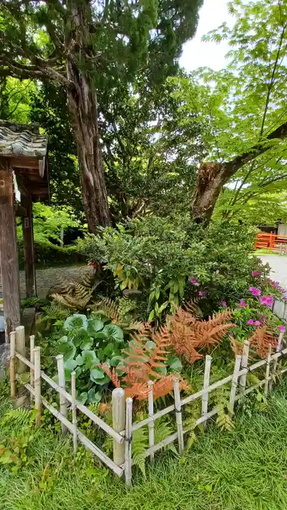今熊野観音寺(京都府)