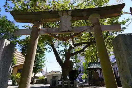 阿邪訶根神社の鳥居