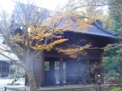 妙本寺の山門