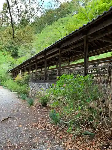 妙法寺の建物その他