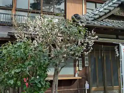 高円寺天祖神社(東京都)