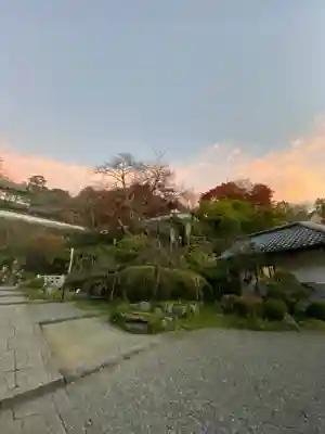 岡寺(龍蓋寺)(奈良県)