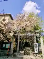 千住本氷川神社の{uncategorized: "未分類", other: "その他", undefined: "問題あり", building: "その他建物", grave: "お墓", sacred_gate: "鳥居", guardian: "狛犬", statue: "像", buddha: "仏像", history: "歴史", nature: "自然", garden: "庭園", animal: "動物", pagoda: "塔", temizu: "手水舎", mountain_gate: "山門・神門", sanctuary: "本殿・本堂", subordinate: "末社・摂社", art: "芸術", scenery: "景色", jizo: "地蔵", ema: "絵馬", goshuin: "御朱印", omikuji: "おみくじ", items: "授与品その他", amulet: "お守り", goshuincho: "御朱印帳", eats: "食事", festival: "お祭り", votive_dance: "神楽", shichigosan: "七五三参", wedding: "結婚式", experience: "体験その他", initially: "初詣", around: "周辺", anti_infection: "感染症対策"}