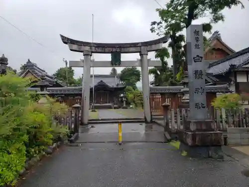 白鬚神社の鳥居