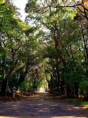 東大野八幡神社(福岡県)