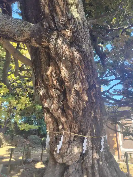 九重神社(埼玉県)