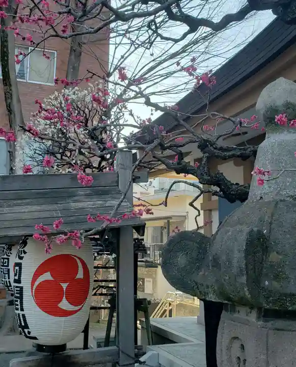 穏田神社(東京都)