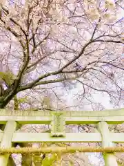 鹿嶋神社(茨城県)