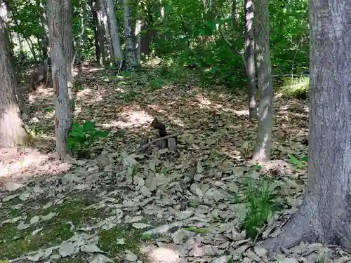 上川神社の動物