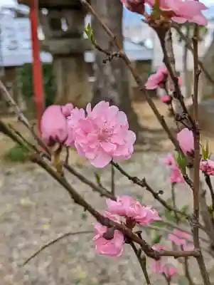 粟田神社(京都府)