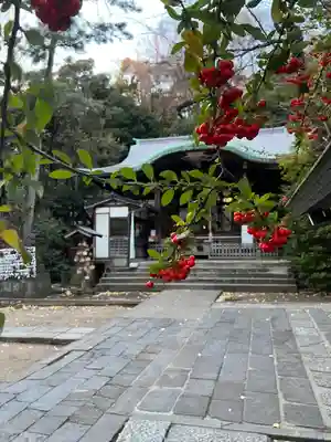 御田八幡神社の本殿・本堂