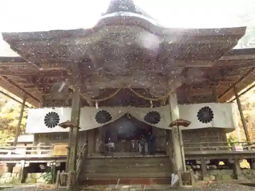 戸隠神社火之御子社の本殿