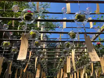 正寿院(京都府)