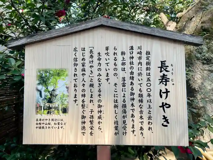 溝口神社の{uncategorized: "未分類", other: "その他", undefined: "問題あり", building: "その他建物", grave: "お墓", sacred_gate: "鳥居", guardian: "狛犬", statue: "像", buddha: "仏像", history: "歴史", nature: "自然", garden: "庭園", animal: "動物", pagoda: "塔", temizu: "手水舎", mountain_gate: "山門・神門", sanctuary: "本殿・本堂", subordinate: "末社・摂社", art: "芸術", scenery: "景色", jizo: "地蔵", ema: "絵馬", goshuin: "御朱印", omikuji: "おみくじ", items: "授与品その他", amulet: "お守り", goshuincho: "御朱印帳", eats: "食事", festival: "お祭り", votive_dance: "神楽", shichigosan: "七五三参", wedding: "結婚式", experience: "体験その他", initially: "初詣", around: "周辺", anti_infection: "感染症対策"}