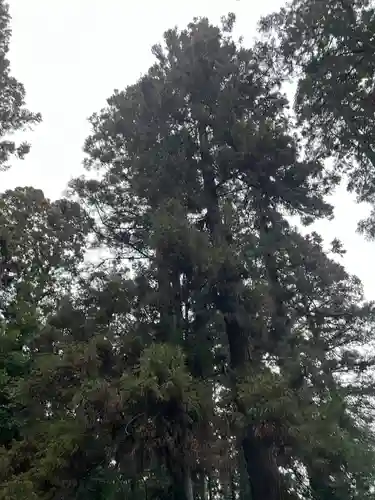 大宮温泉神社(栃木県)