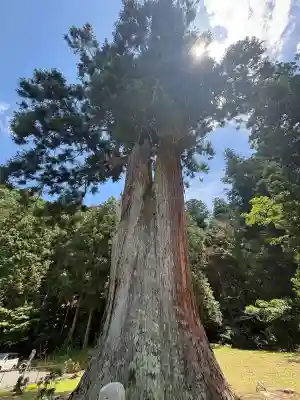 室生龍穴神社(奈良県)