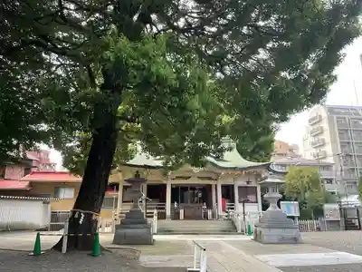 荻窪白山神社(東京都)