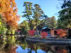 武蔵一宮氷川神社(埼玉県)