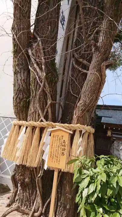 櫛田神社のその他建物