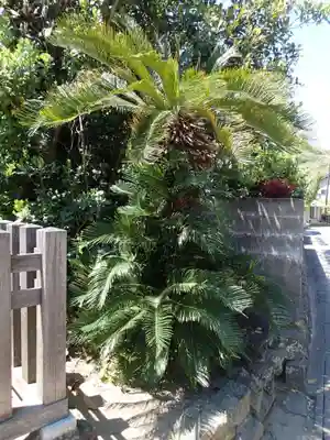 下宮（出雲大社末社）の自然