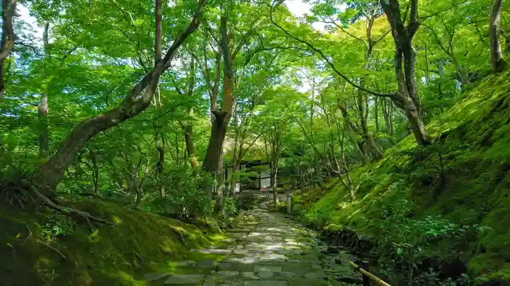 常寂光寺(京都府)