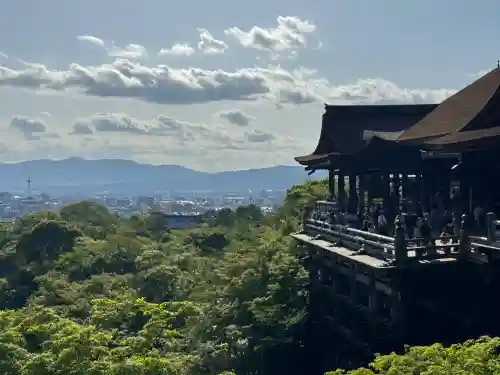 清水寺の{uncategorized: "未分類", other: "その他", undefined: "問題あり", building: "その他建物", grave: "お墓", sacred_gate: "鳥居", guardian: "狛犬", statue: "像", buddha: "仏像", history: "歴史", nature: "自然", garden: "庭園", animal: "動物", pagoda: "塔", temizu: "手水舎", mountain_gate: "山門・神門", sanctuary: "本殿・本堂", subordinate: "末社・摂社", art: "芸術", scenery: "景色", jizo: "地蔵", ema: "絵馬", goshuin: "御朱印", omikuji: "おみくじ", items: "授与品その他", amulet: "お守り", goshuincho: "御朱印帳", eats: "食事", festival: "お祭り", votive_dance: "神楽", shichigosan: "七五三参", wedding: "結婚式", experience: "体験その他", initially: "初詣", around: "周辺", anti_infection: "感染症対策"}