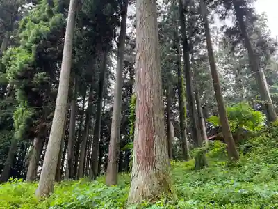 大宮温泉神社(栃木県)