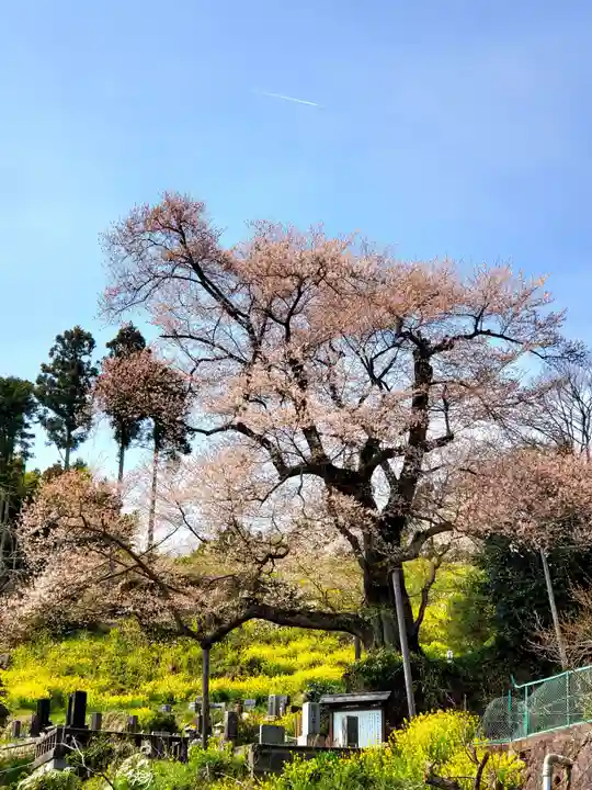 曹洞宗 永松山 龍泉寺(福島県)