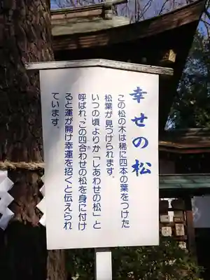 前鳥神社の歴史