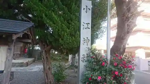 小江神社の自然