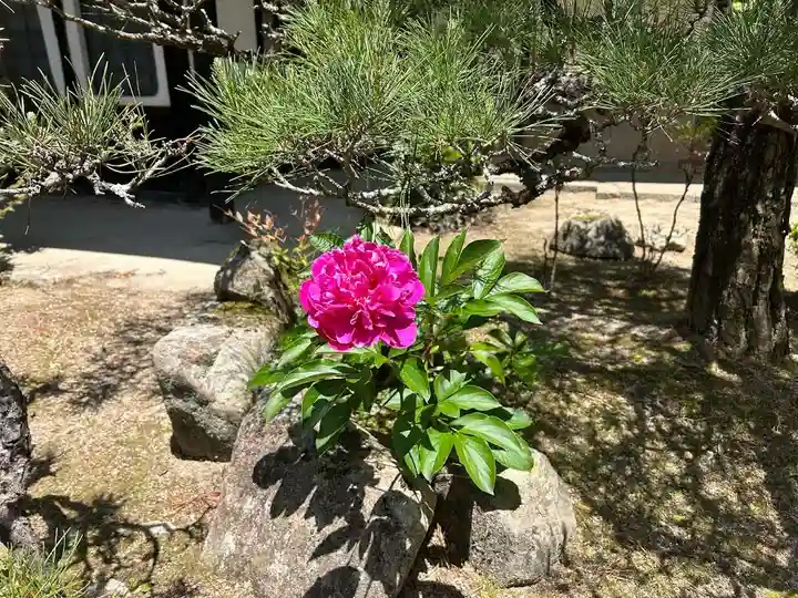 木舟山 順教寺(広島県)