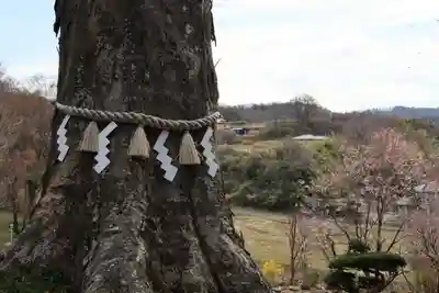 阿久津「田村神社」（郡山市阿久津町）旧社名：伊豆箱根三嶋三社の自然