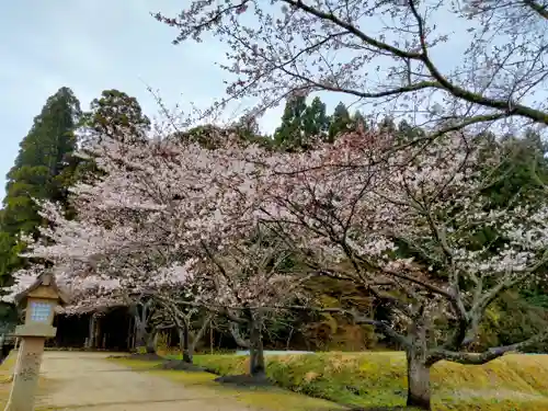 神魂神社(島根県)