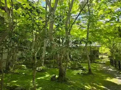 西明寺(京都府)