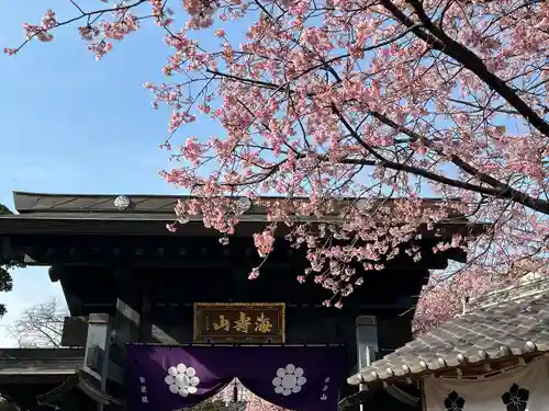 密藏院(埼玉県)