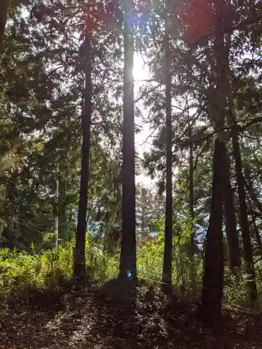 伊吹山寺(滋賀県)
