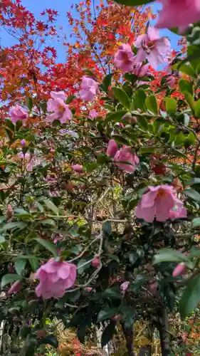 寂光院(京都府)