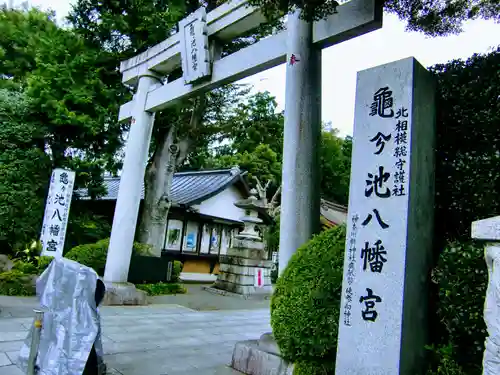 亀ケ池八幡宮の鳥居