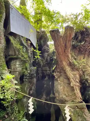 來宮神社(静岡県)