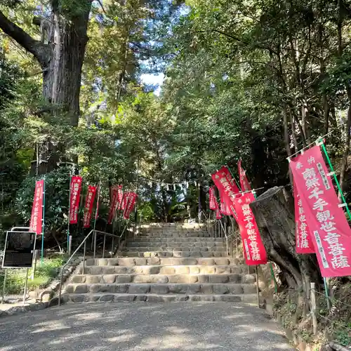 塩船観音寺(東京都)
