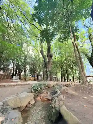 生田神社(兵庫県)